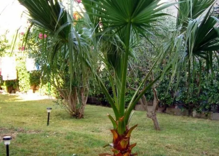 Grosse In Pag Mit Privater Terrasse By Interhome Daire