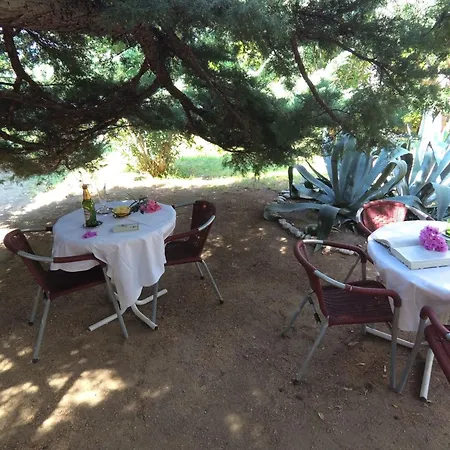 Grosse In Pag Mit Privater Terrasse By Interhome * Pag Town